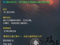 适用剑灵私服风拳师神功牌